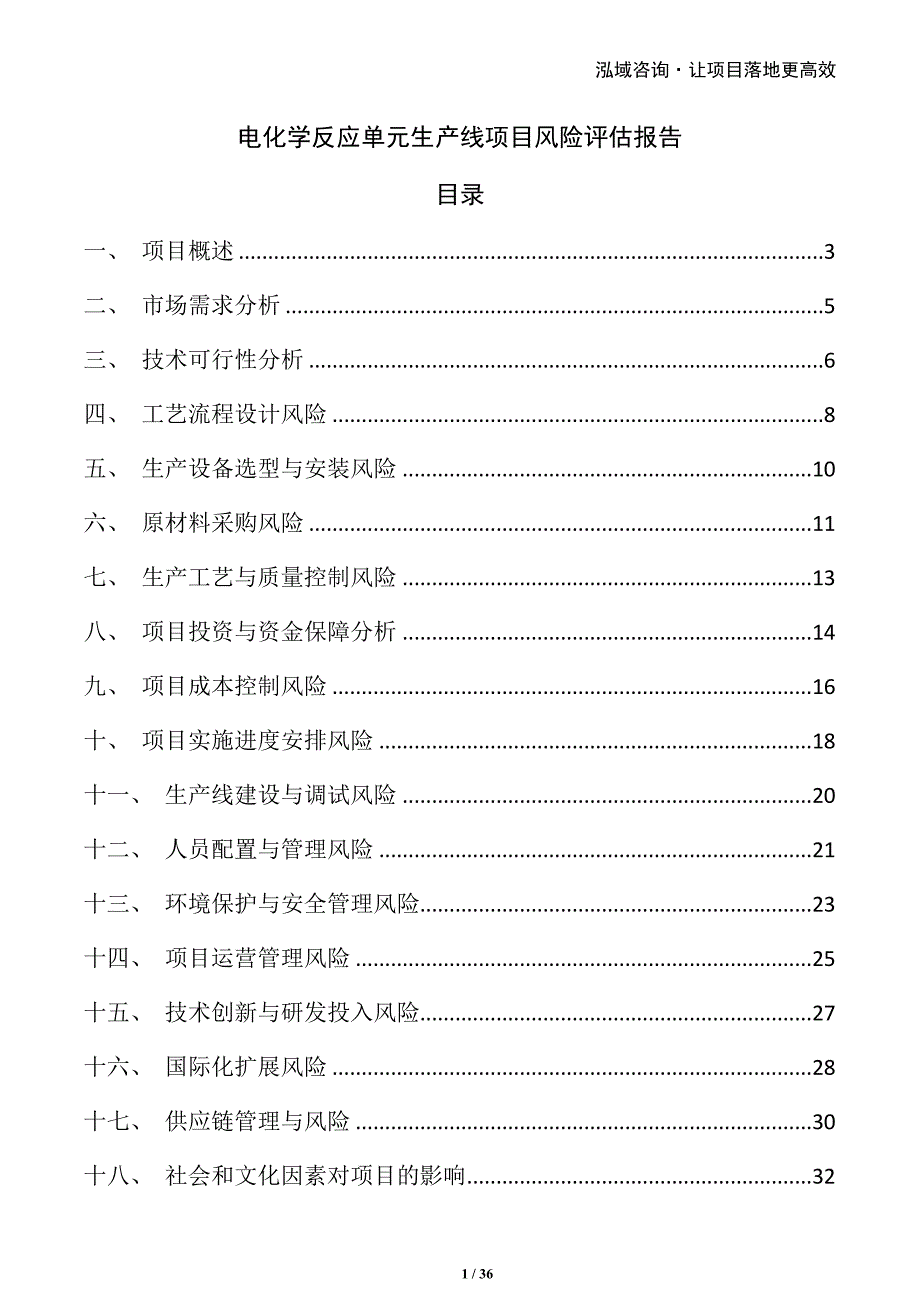 电化学反应单元生产线项目风险评估报告_第1页