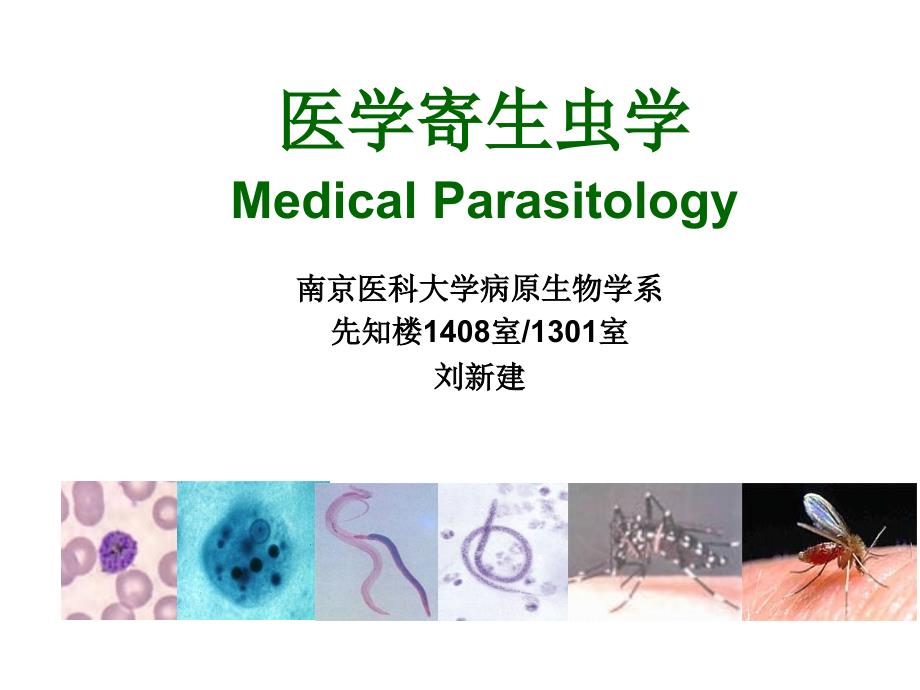 《制节肢动物》课件_第1页