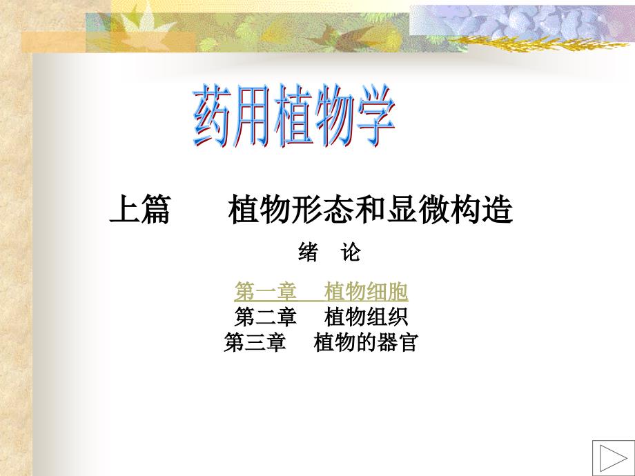 植物形态和显微构造_第1页