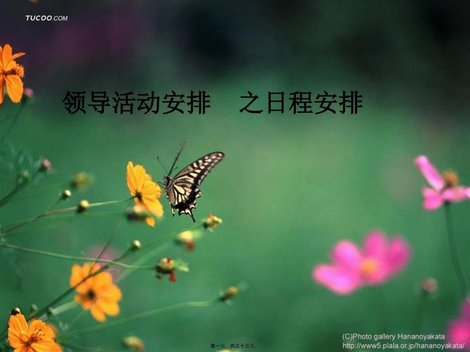 秘书领导活动安排_第1页