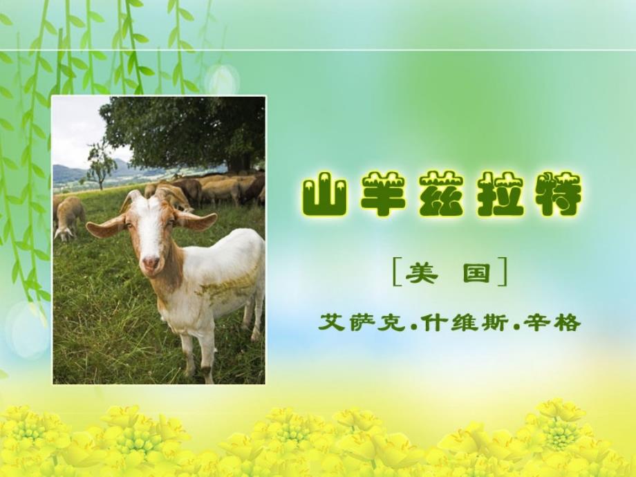 《山羊兹拉特》(课件)_第1页