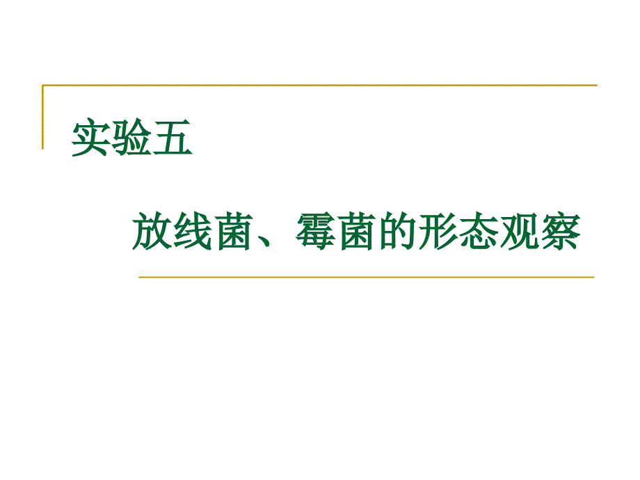 实验五放线菌、霉菌的形态观察_第1页