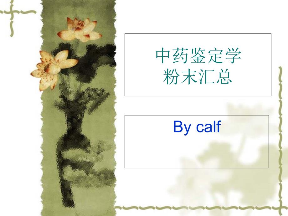 中药鉴定学粉末鉴别汇总(图)_第1页