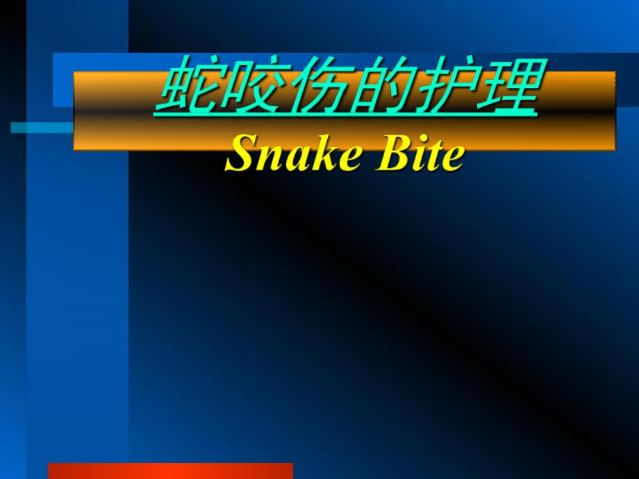 蛇咬伤知识课件_第1页