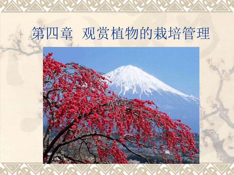 第五章花卉栽培管理_第1页