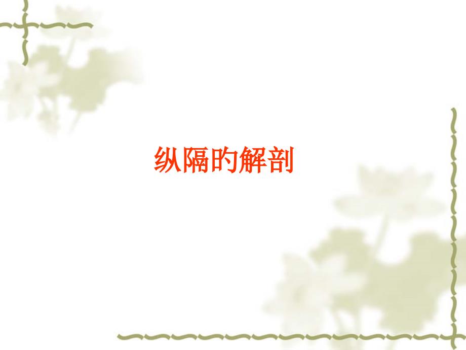 人体解剖纵隔_第1页