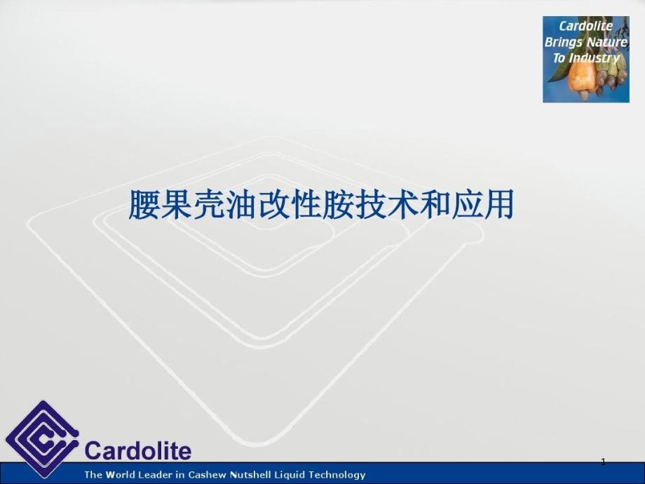 腰果壳油改性胺技术和应用讲座（更新版）概要课件_第1页