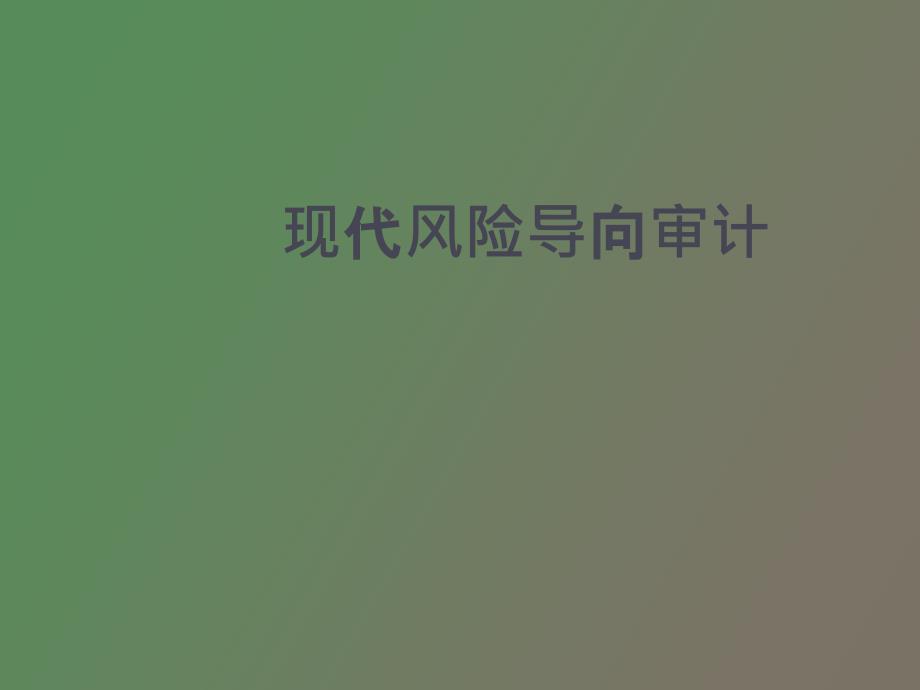 风险导向审计_第1页