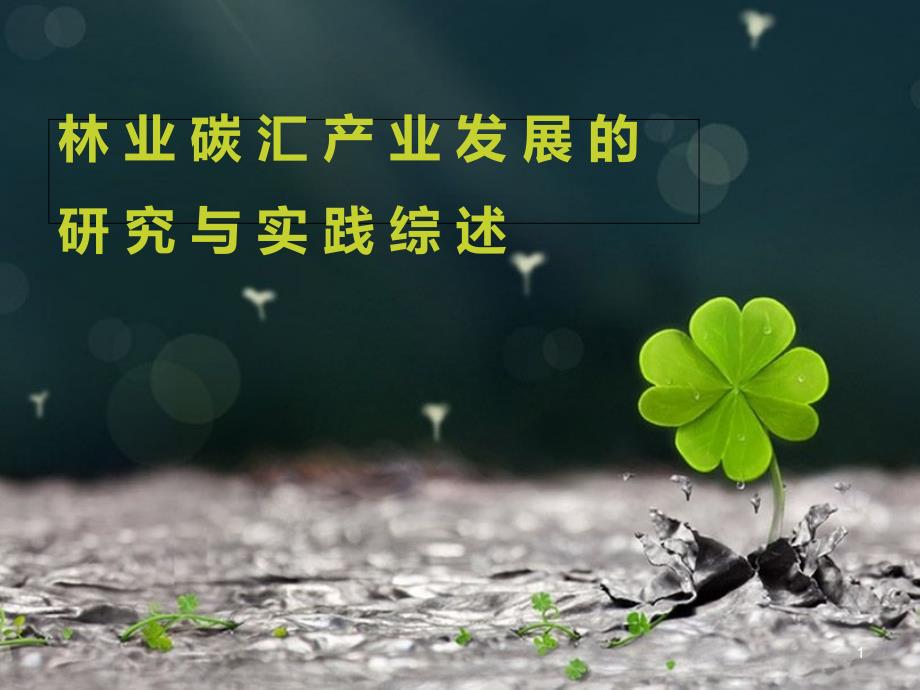 林业碳汇产业ppt_第1页