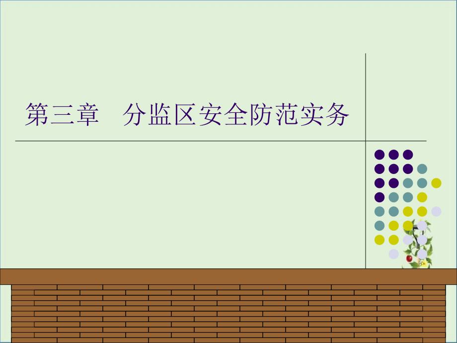 分监区安全防范实务_第1页