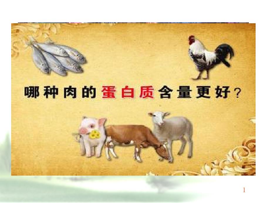 生物化学简明教程第四版03蛋白质化学_第1页