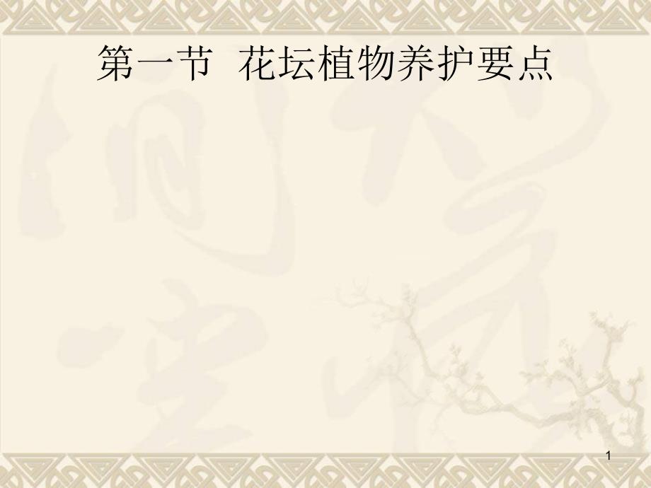 花坛及养护管理课件_第1页