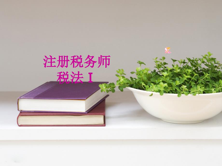 注册税务师税法课件_第1页
