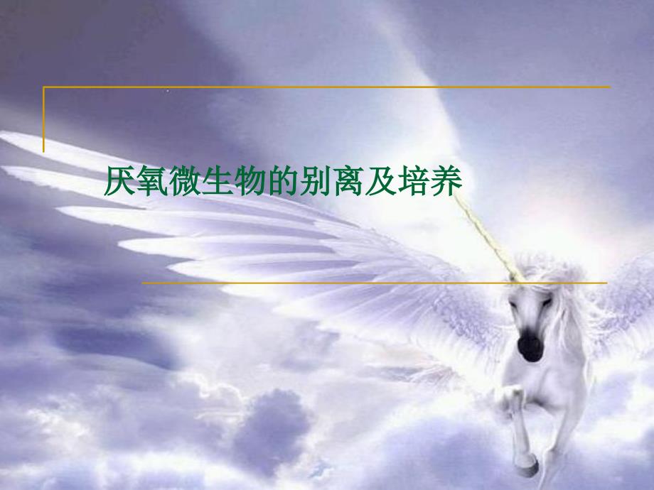 厌氧微生物的分离及培养_第1页