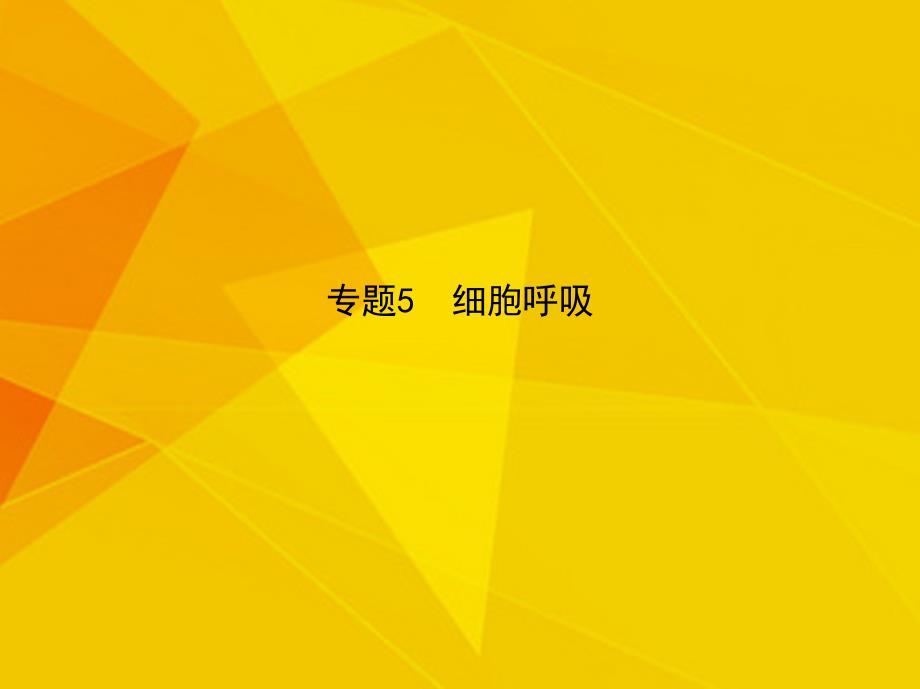 新课标高考生物冲刺复习专题细胞呼吸课件_第1页