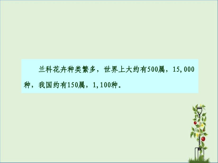 兰科花卉介绍_第1页