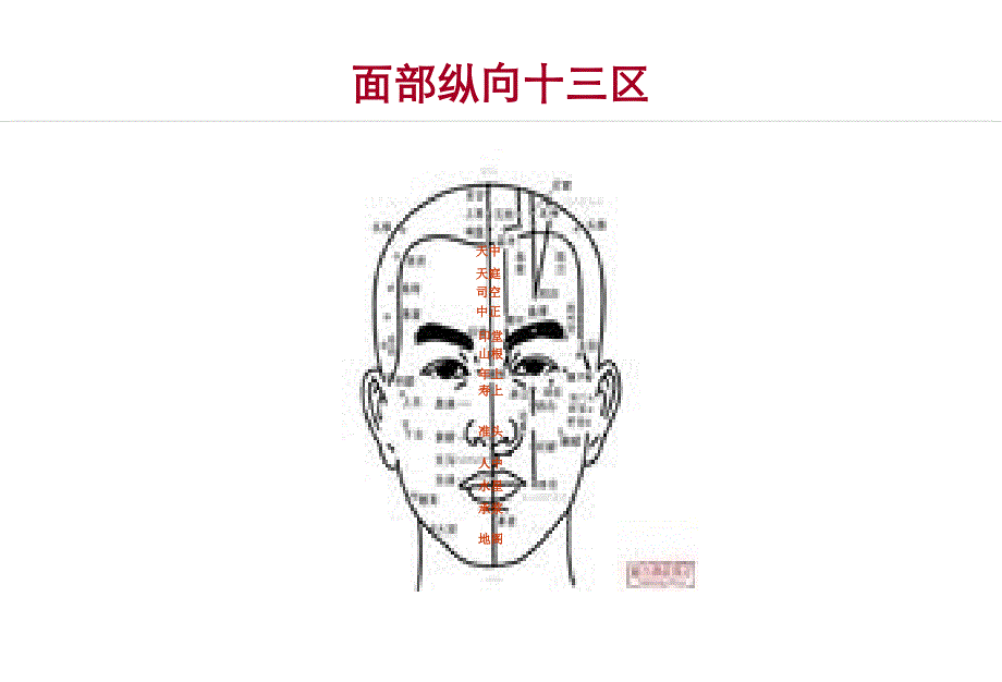部位150个穴位图讲解_第1页