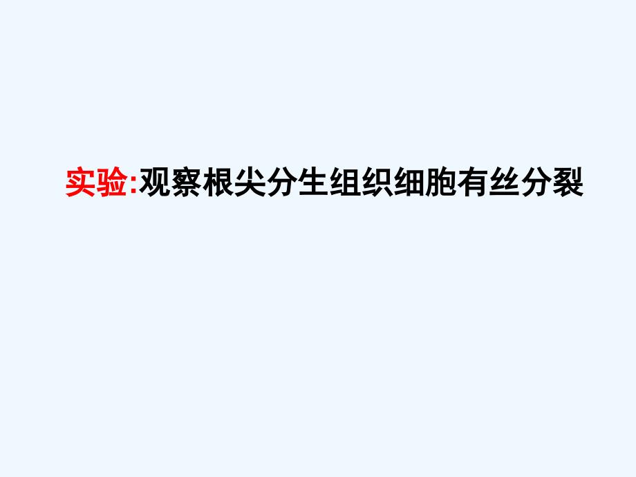 观察根尖分生组织细胞有丝分裂_第1页