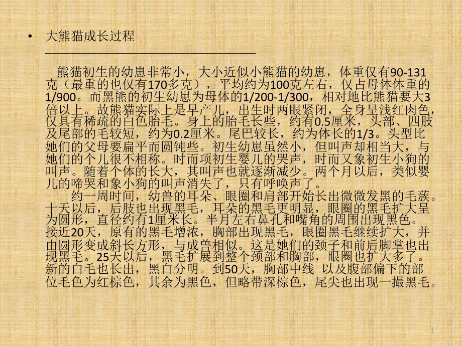 大熊猫成长过程课件_第1页