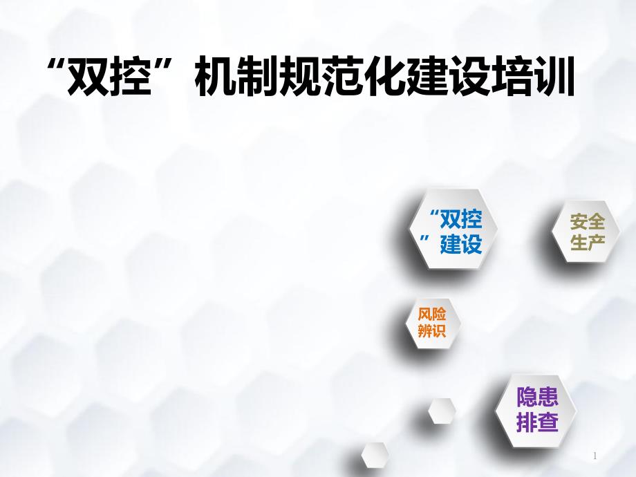 新诺威“双控”机制规范化建设培训课件_第1页