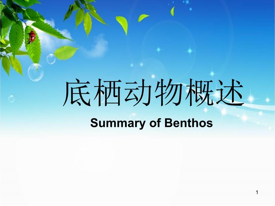 底栖动物概述课件_第1页
