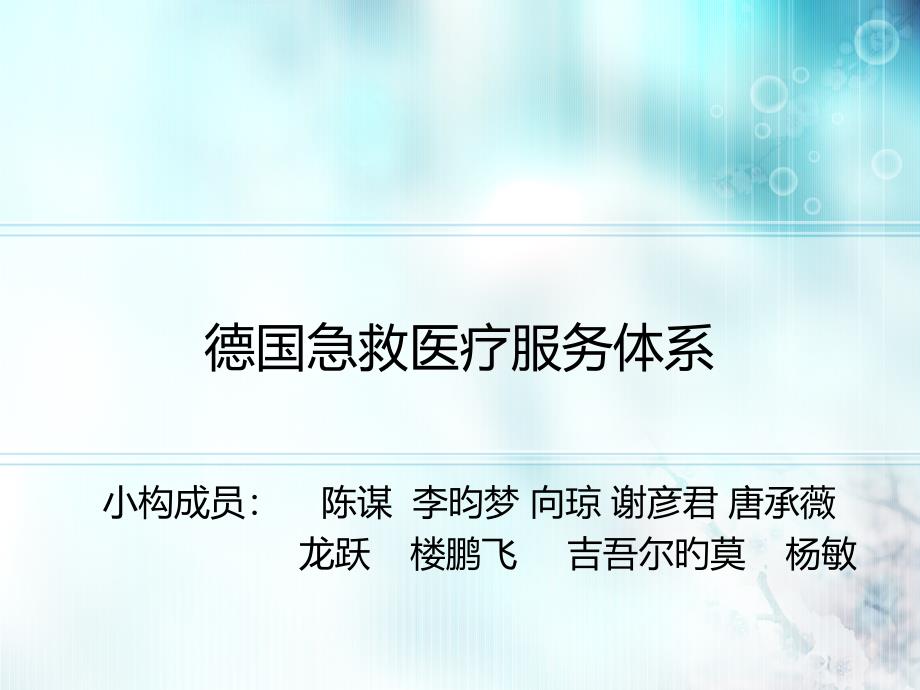 德国急救医疗服务体系专家讲座_第1页