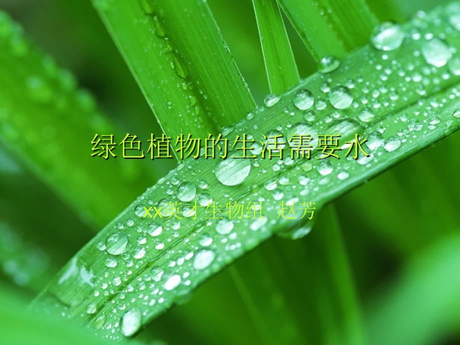 七年级生物绿色植物的生活需要水优秀课件_第1页