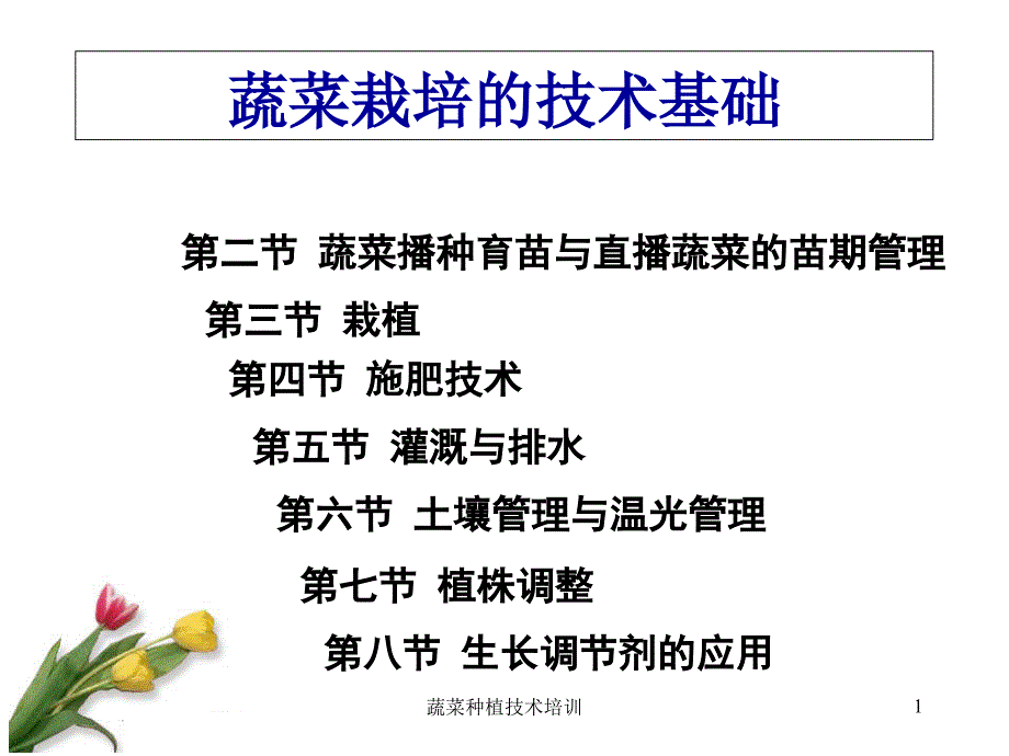 蔬菜种植技术培训-课件_第1页