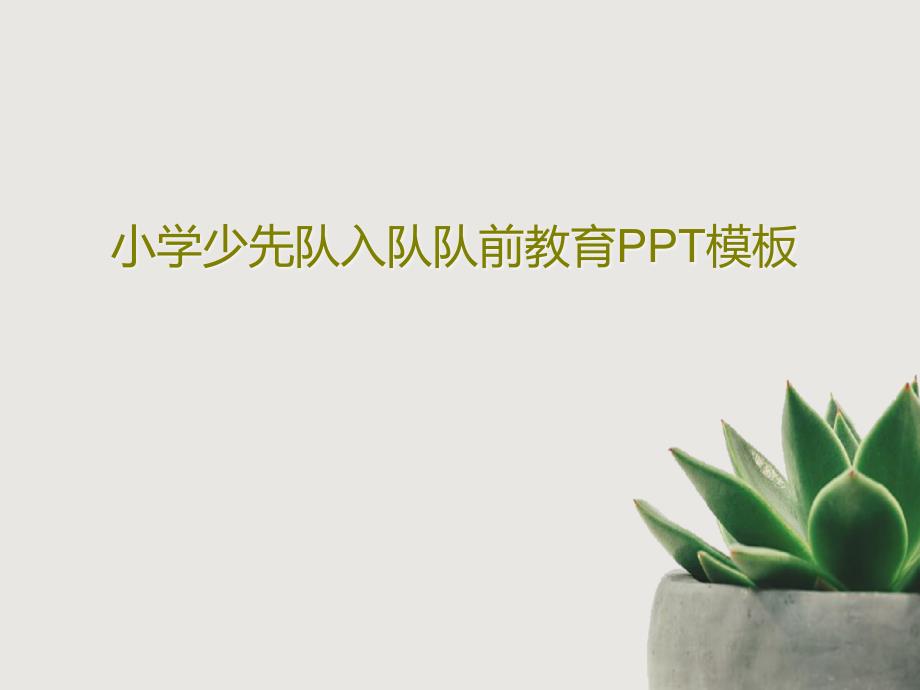小学少先队入队队前教育模板课件_第1页