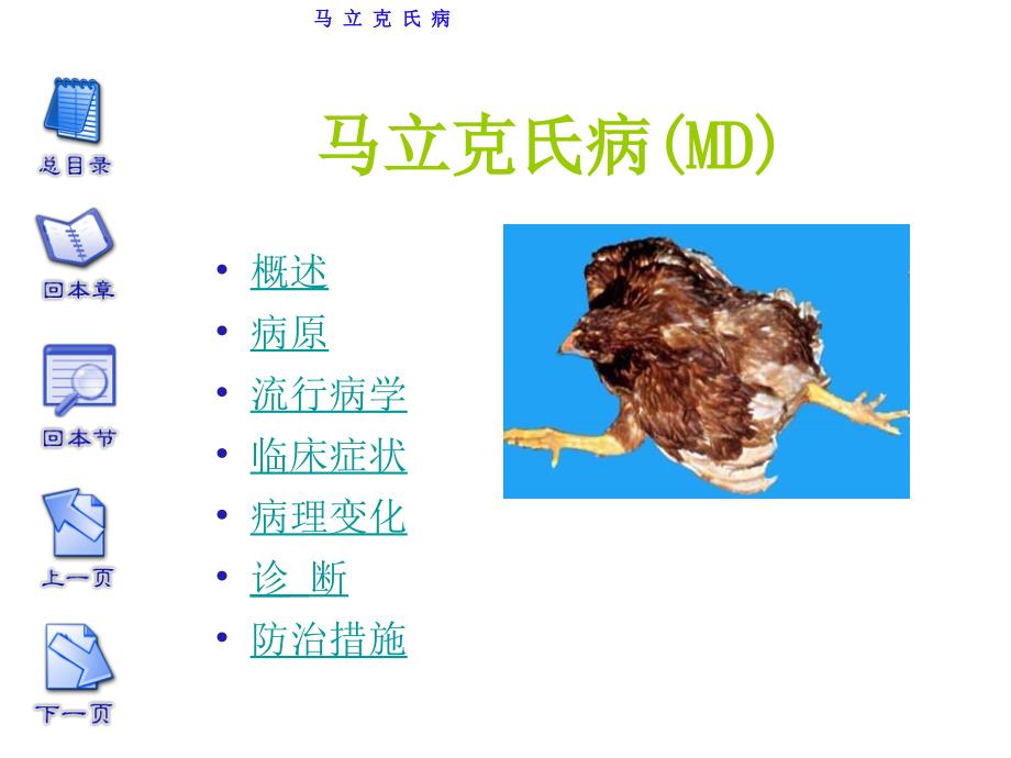 鸡马立克氏病_第1页