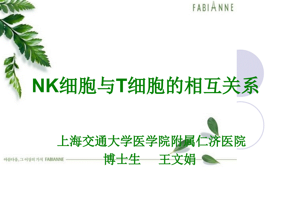 NK细胞与T细胞相互关系_第1页
