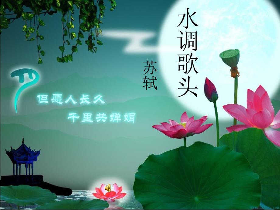 语文下册第五单元25课《水调歌头》_第1页
