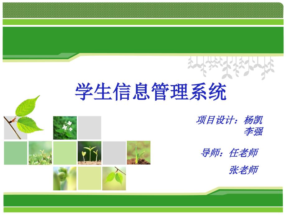 学生信息管理系统ppt_第1页