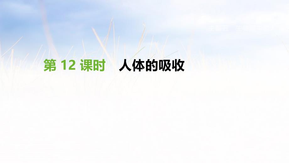 12课时-人体的呼吸课件_第1页