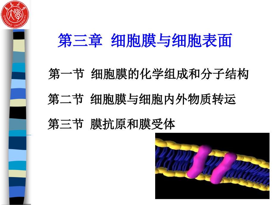 细胞生物学第三章细胞膜与细胞表面_第1页