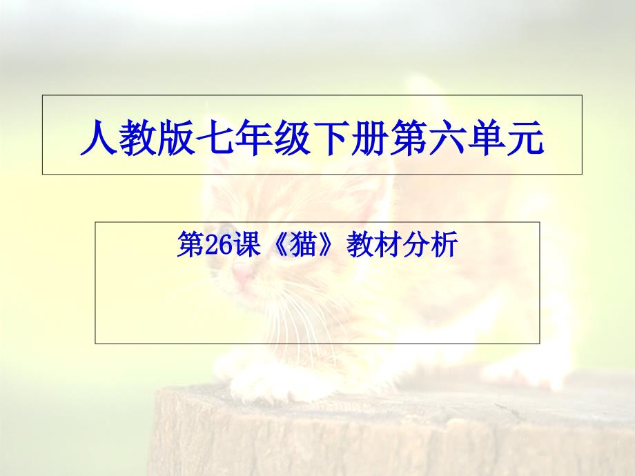 猫教材分析稿1.._第1页
