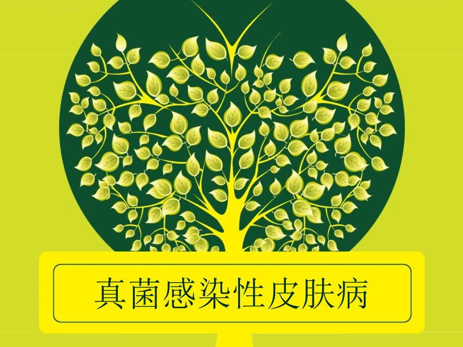 感染性皮肤病-ppt课件_第1页