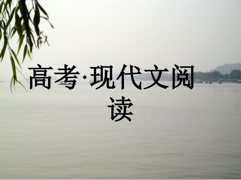高考现代文阅读考点分类详解课件_第1页