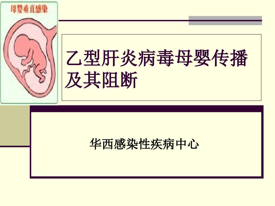 乙型肝炎病毒母婴传播及其阻断_第1页