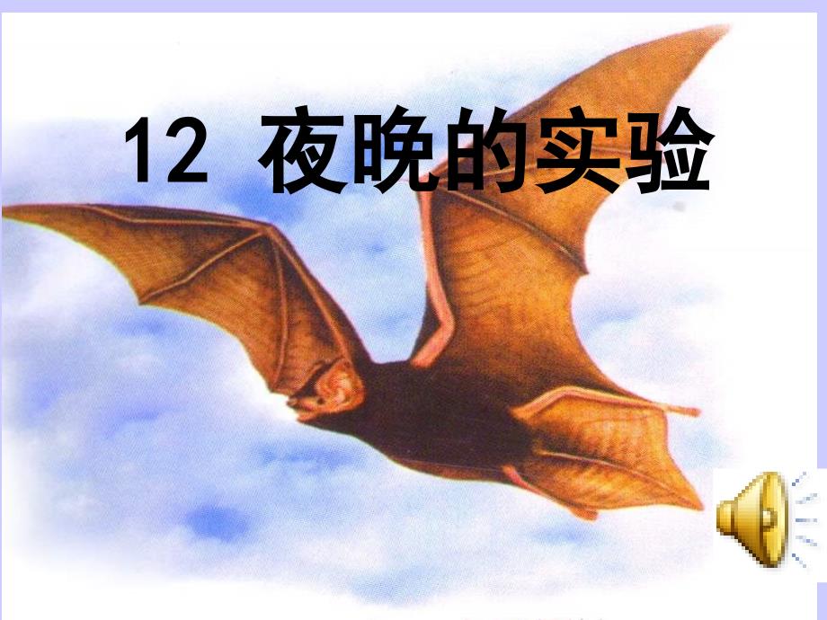 12《夜晚的实验》课件_第1页