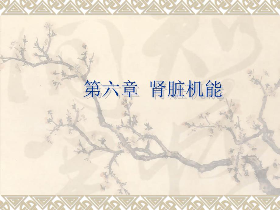 第六章-肾脏机能课件_第1页