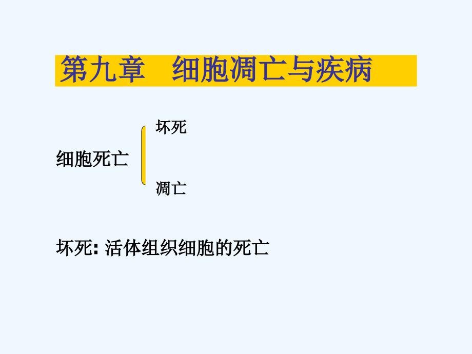 第九章细胞凋亡microsoftpowerpoint演示文稿_第1页