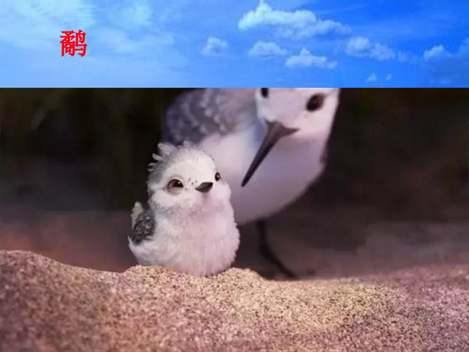 动画短片《鹬》课件_第1页