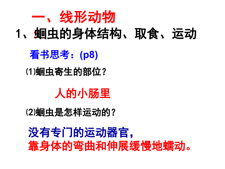 线形动物和环节动物ppt课件_第1页