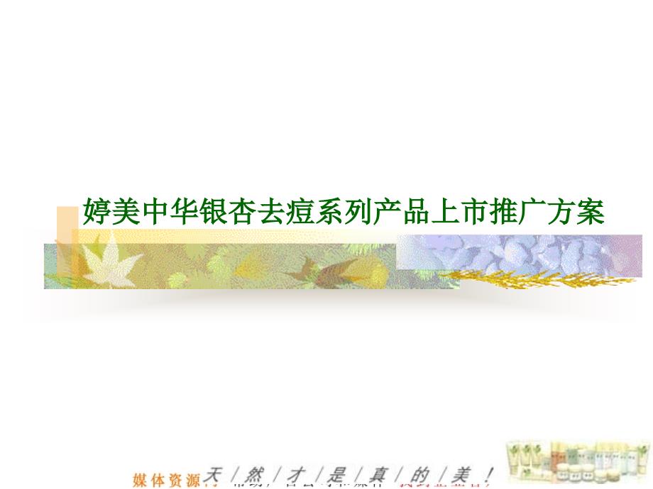 某护肤品产品上市推广方案_第1页
