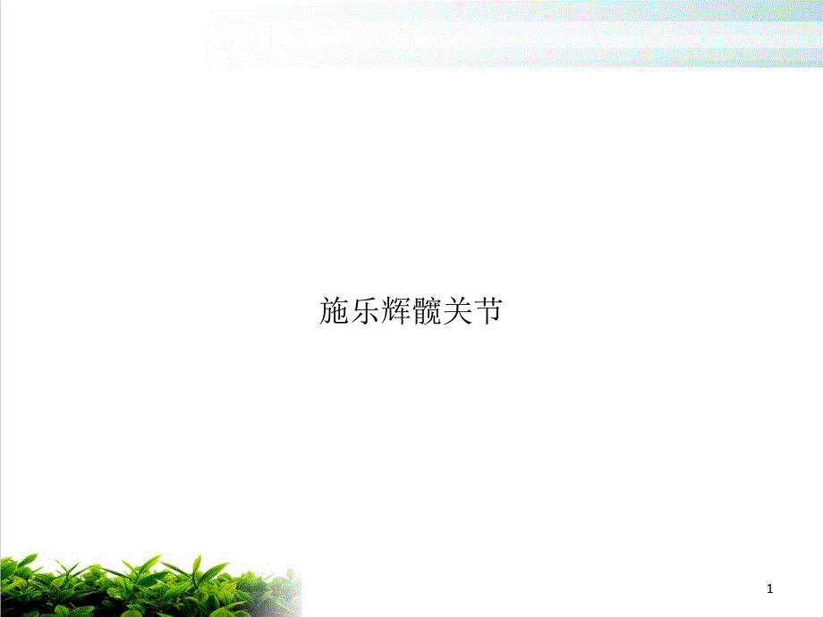 施乐辉髋关节课件_第1页