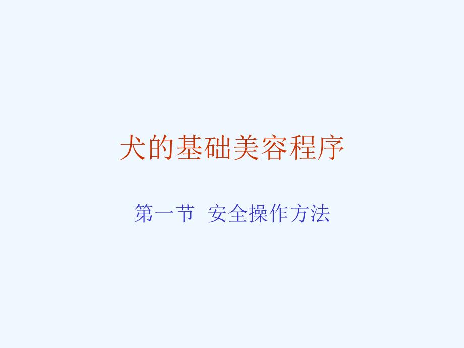 犬基础美容程序_第1页