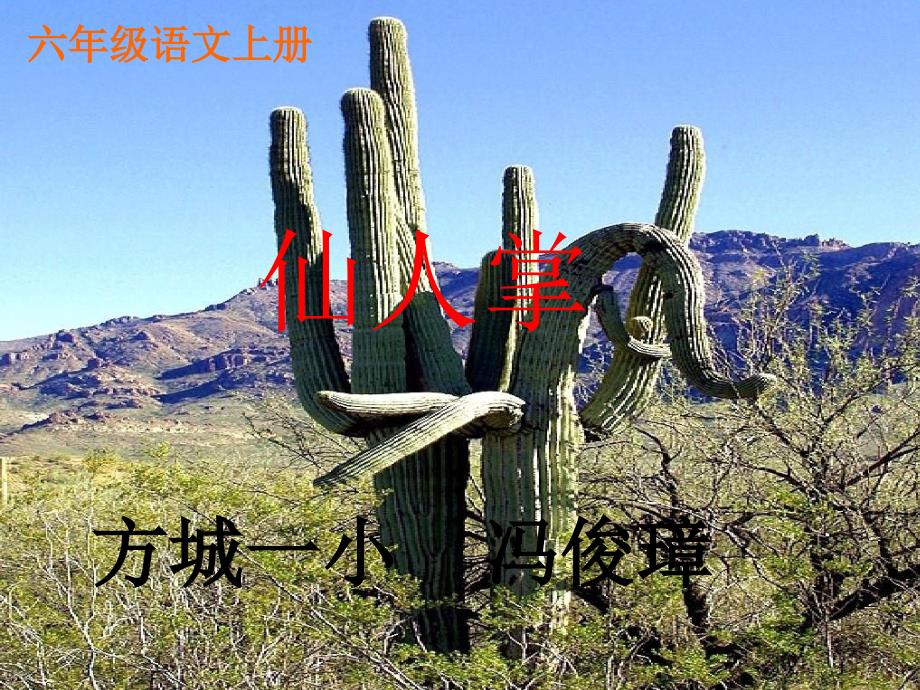 教育专题：15《仙人掌》_第1页