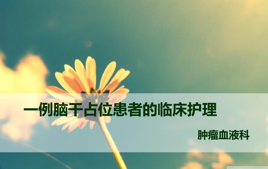 脑干占位课件_第1页