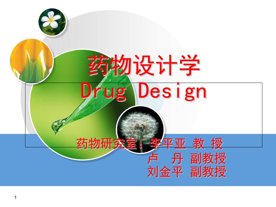 药物设计学-导论课件_第1页